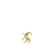 logotyp ambassadör hälsingland